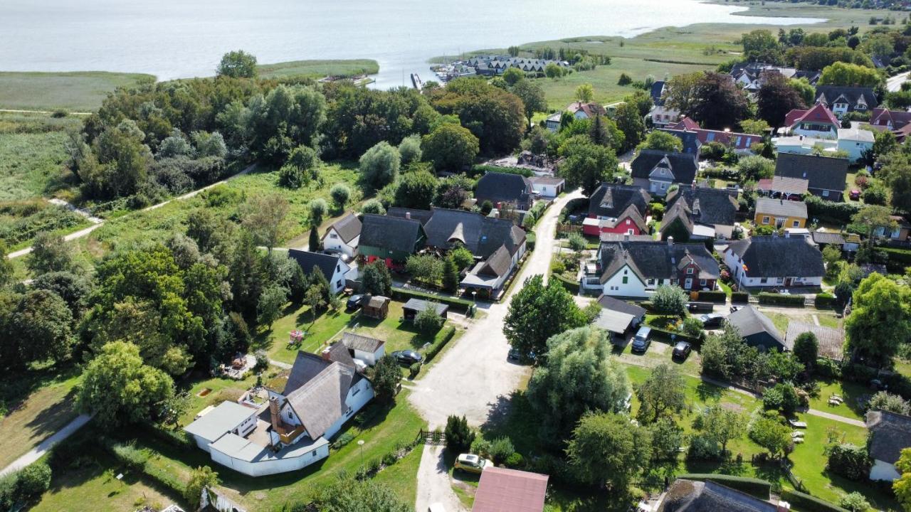 Toepferweg 06 Ferienwohnung Tine Ahrenshoop Eksteriør bilde